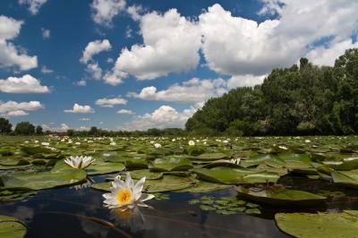 Tisza-tavi csónak túra0