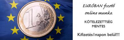Otthonról végezhető munka!0