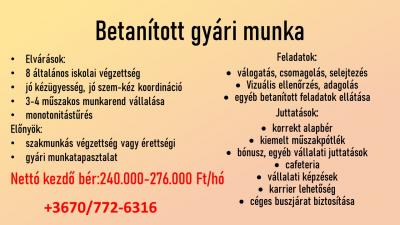 Kiemelt betanított gyári munka, csatlakozási bónusszal0