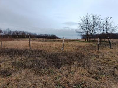 EladÓ 1312 m2-es és 1314 m2-es mezőgazdasági telkek Őrbottyánban.0