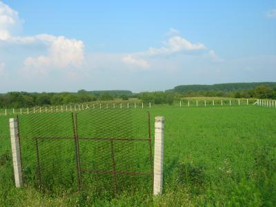 Serbia , Ada , 45 km Szabadkarul0