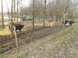 vadháló,vadkerítés,drótfonat1