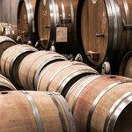 Szőlészeti segédmunka októberig0