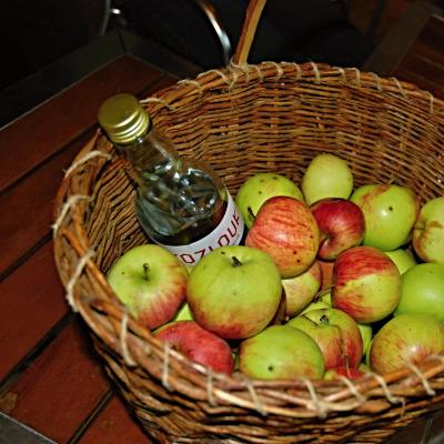 Gyümölcspálinka-gyártó OKJ-s tanfolyam Győrben0