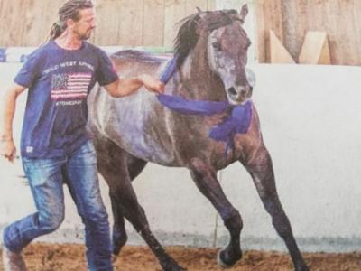 308. Lógondozó és istálló karbantartó német munkahely Dortmund fölött0