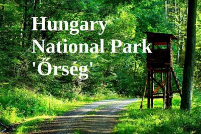 Ninszianna Vendégház az Őrségben0