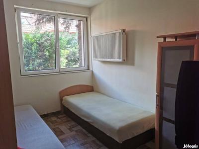 SZOBA KIADÓ 16.ker-ben Cinkotán a HÉV-nél,0