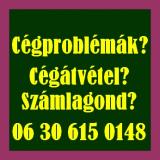 Cégátvétel? Számlagond? Számlagondját megoldjuk.