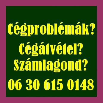 Cégátvétel? Számlagond? Számlagondját megoldjuk.0