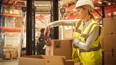 Betanított könnyű fizikai munka Zalaegerszeg0