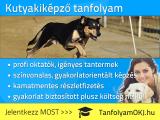 Kutyakiképző tanfolyam Budapesten