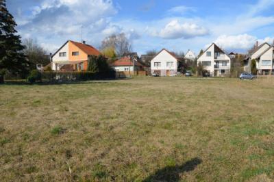 Eladó 815 m2-es lakóövezeti építési telek Diósjenőn!0