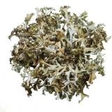 Értékesítése Izlandi moha ömlesztve a gyártótól a legjobb áron