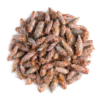 Értékesítése Fenyőbimbó ömlesztve a gyártótól a legjobb áron0