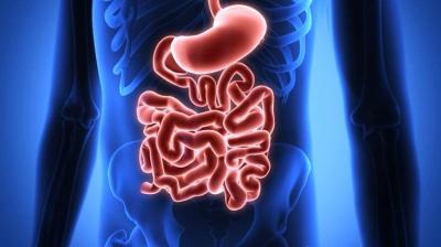 Kínos, de fontos! Előzze meg az emésztési problémákat!0