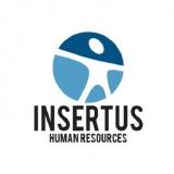 Analitikus (Hibakereső technikus)