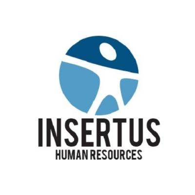 Analitikus (Hibakereső technikus)0