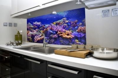 Coral - Akvárium PVC falpanel0