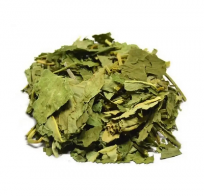 Értékesítése Háromlevelű lóhere (levelek) ömlesztve a gyártótól0