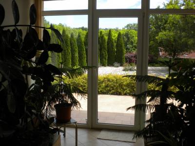 Gondtalan életvitel saját parkban0