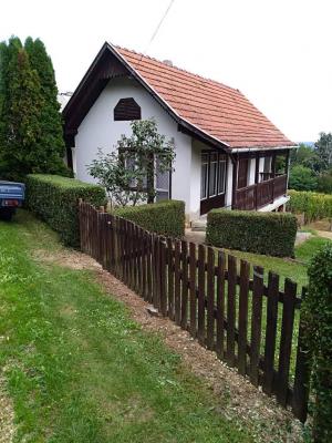 Szőlős birtok ELADÓ!0