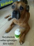Kutyabarátok kávés MLM üzlete1