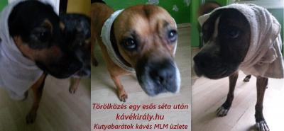 Kutyabarátok kávés MLM üzlete0