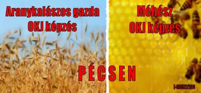 MIOK OKJ-s képzések Pécsen0