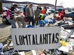 lomtalanitást vállalunk garanciával0