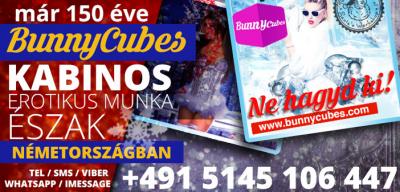 Napi 500 EUR az igazi piroslámpás negyedben, Németországban!0