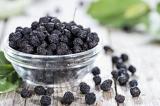 Értékesítése Aronia Gyümölcsök ömlesztve a gyártótól a legjobb áron1