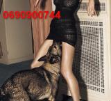 Állatbarát vagyok! Hívj most! 06-90-900-7441