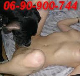 Állatbarát vagyok! Hívj most! 06-90-900-7440