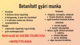 Betanított gyári munkást keresek