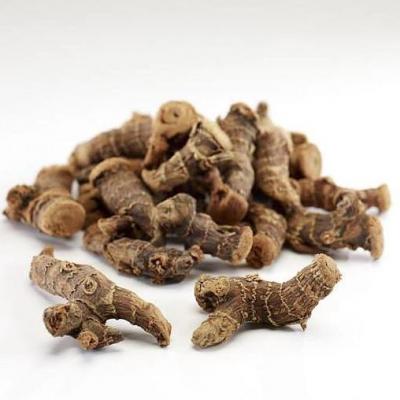 Értékesítése kiegyenesített cinquefoil gyökér ömlesztve a gyártótól0