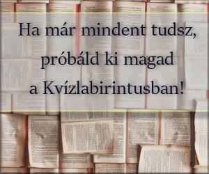 Kvízlabirintus, játék a kvízek szerelmeseinek0