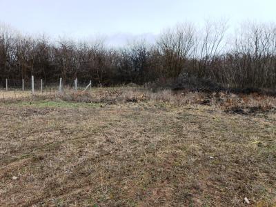 Eladó 10000 m2-es mezőgazdasági telek Őrbottyánban.0