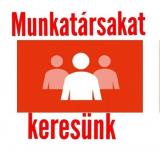 Egyszerű betanított munka Zalaegerszegen