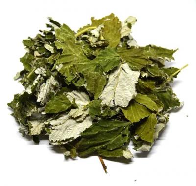 Értékesítése Málna levél ömlesztve a gyártótól a legjobb áron0