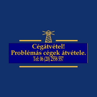 Cégátvétel! Könyvelési problémák? Házipénztár? Köztartozás? Tagikölcsö0