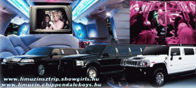 Legénylánybúcsú show műsorok0