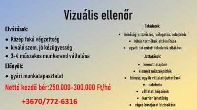 Vizuális ellenőr, csatlakozási bónusszal0