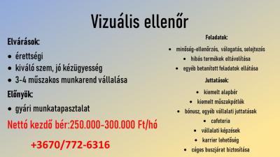 Vizuális ellenőr Zalaegerszeg0