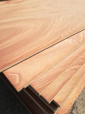 Nyár Sapelli rRétegelt Lemez0