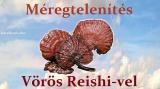 Méregtelenítés Vörös Reishivel1