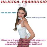 H%FAsv%E9ti+nyuszi+l%E1nyok+rendelhet%F5ek+orsz%E1gon+bel%FCl-+%E9s+k%EDv%FClre+is%21