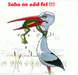 Teremtsd meg a nyugdíjadat,most sikerül!