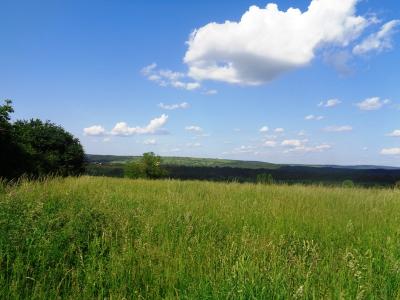 Vác Felső török hegyen 48.114 m2-es mezőgazdasági terület eladó!0