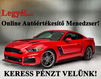 Keress pénzt online!0