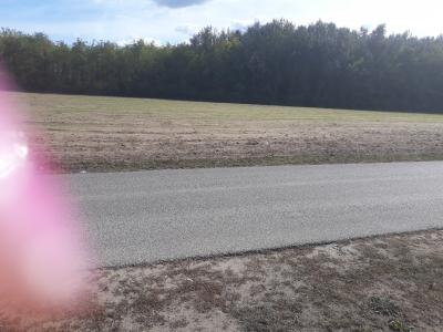 Táborfalván csendes utcában,eladó családi ház0